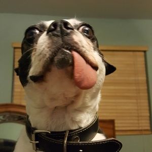 Meet your Posher, Daniel